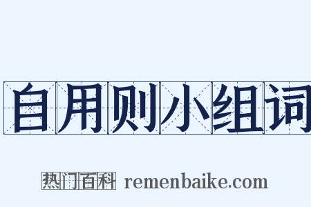 自用则小组词是什么意思的图片